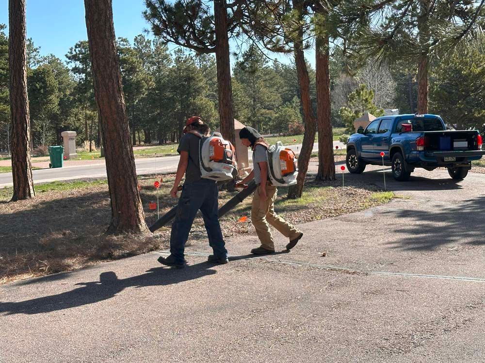 Two people carrying leaf blowers on a paved road, near trees and a truck. Sunny day.