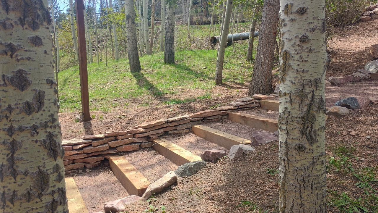 Wooden steps built into a wooded hillside with trees and dry leaves around them