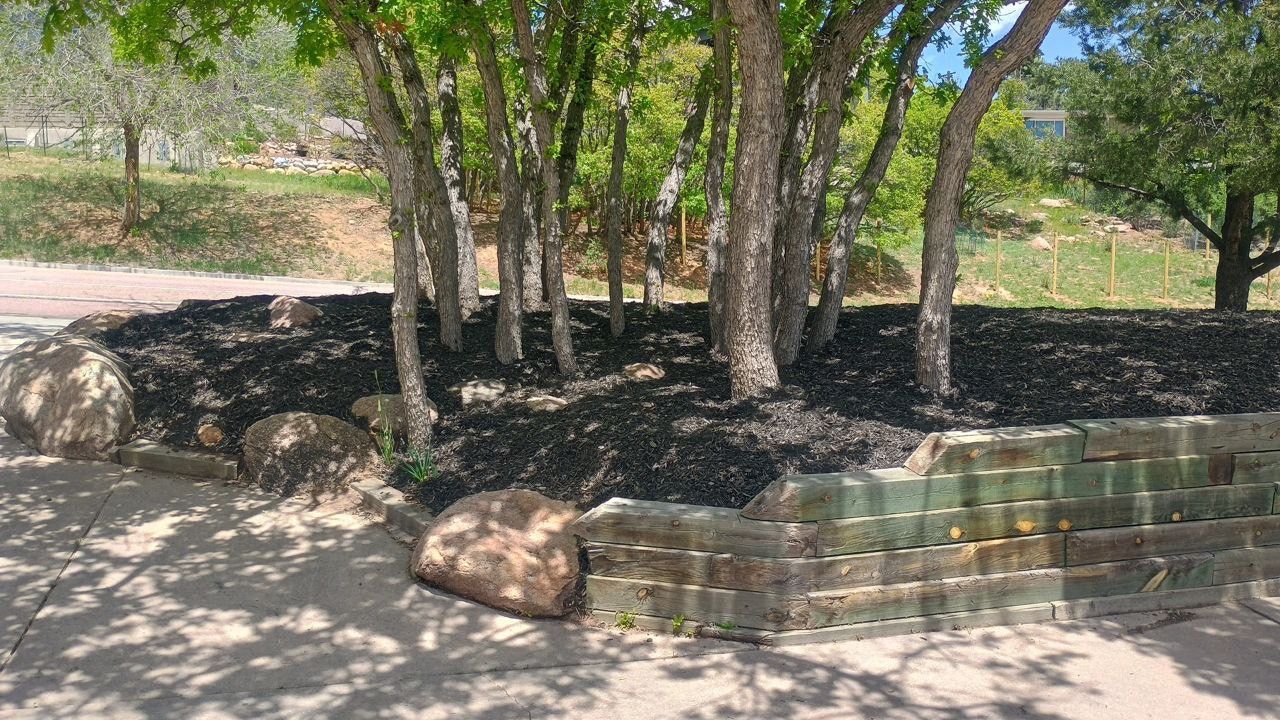 Stone-lined tree planter beside a paved path in a sunny park