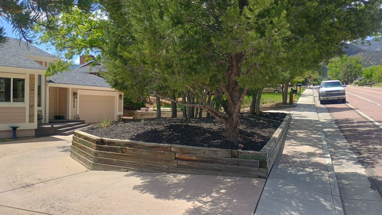 Sunny sidewalk beside a building with trees and a raised stone planter