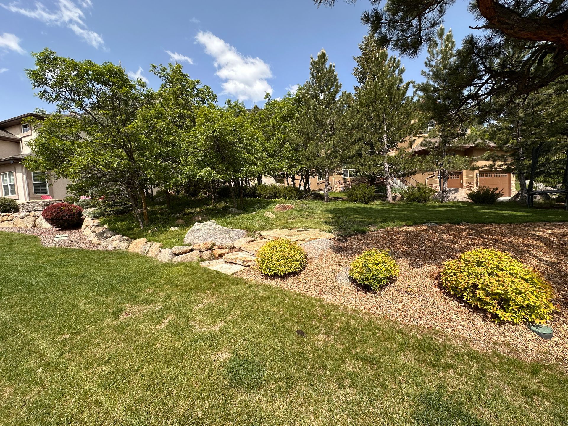 Suburban garden bed with yellow shrubs, rocks, trees, and a green lawn under a partly cloudy sky