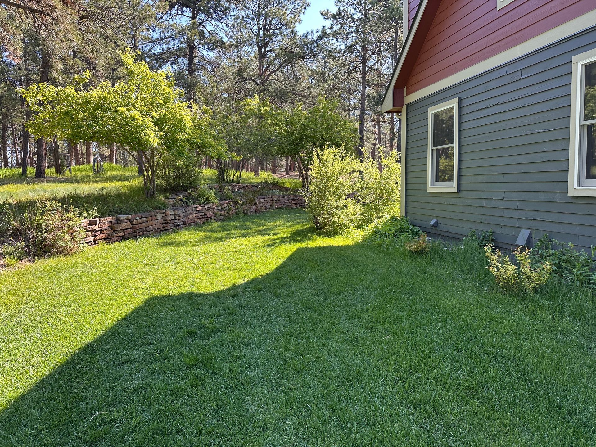 Side yard beside a blue house with green lawn, trees, and bright sunlight casting long shadows.