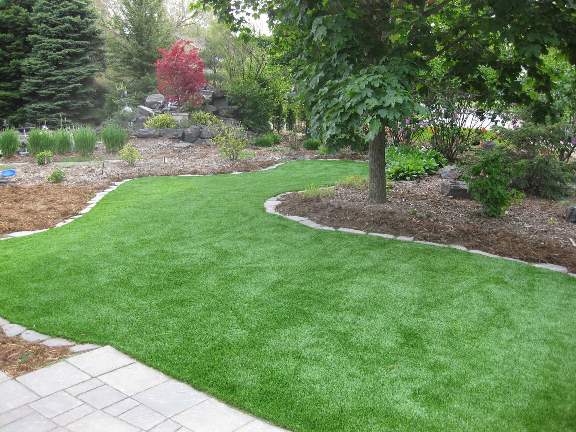 A lush green lawn with a tree in the background