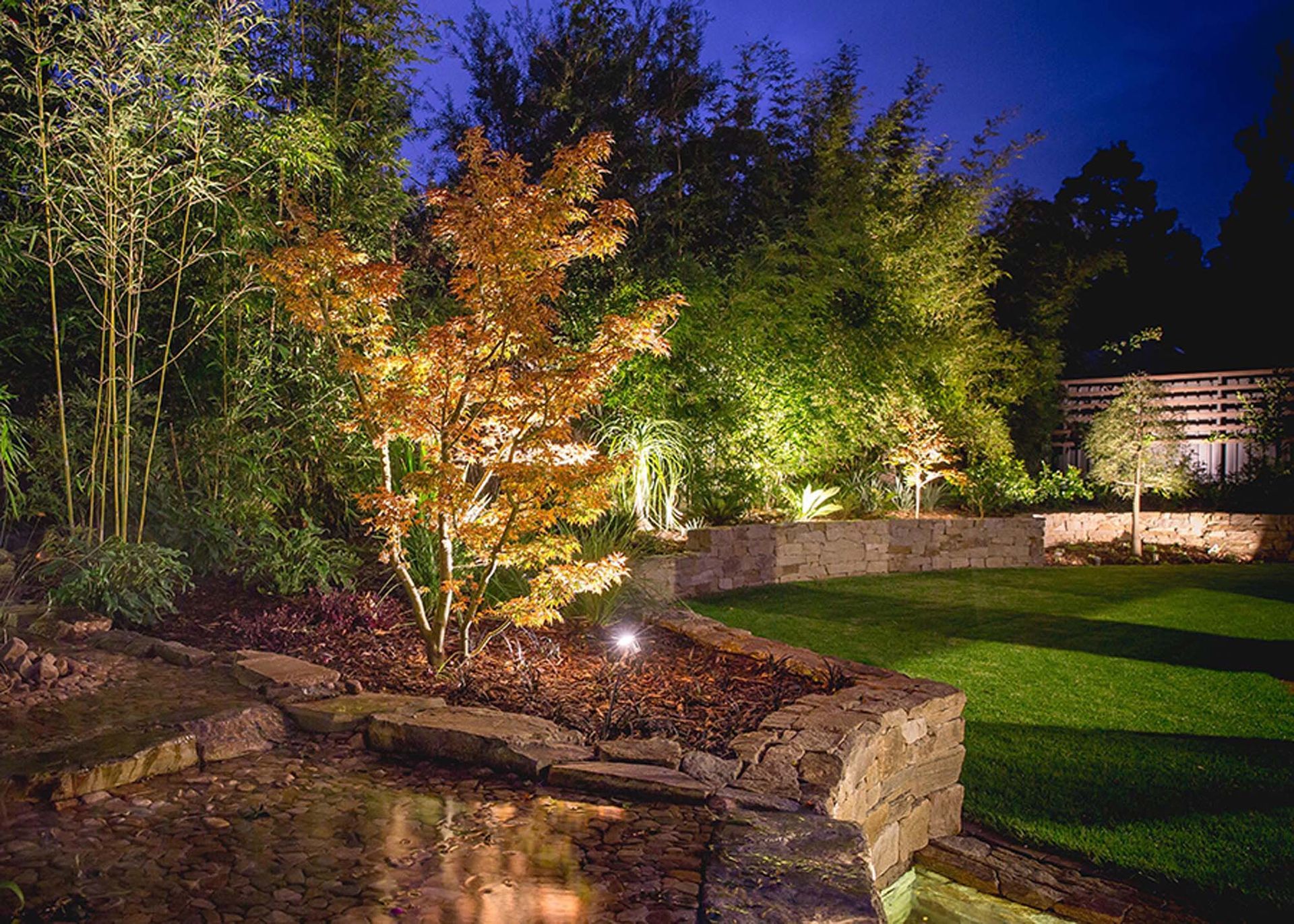A lush green garden is lit up at night
