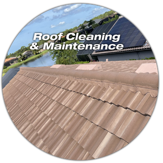 A man is cleaning the roof of a house with the words roof cleaning & maintenance below him