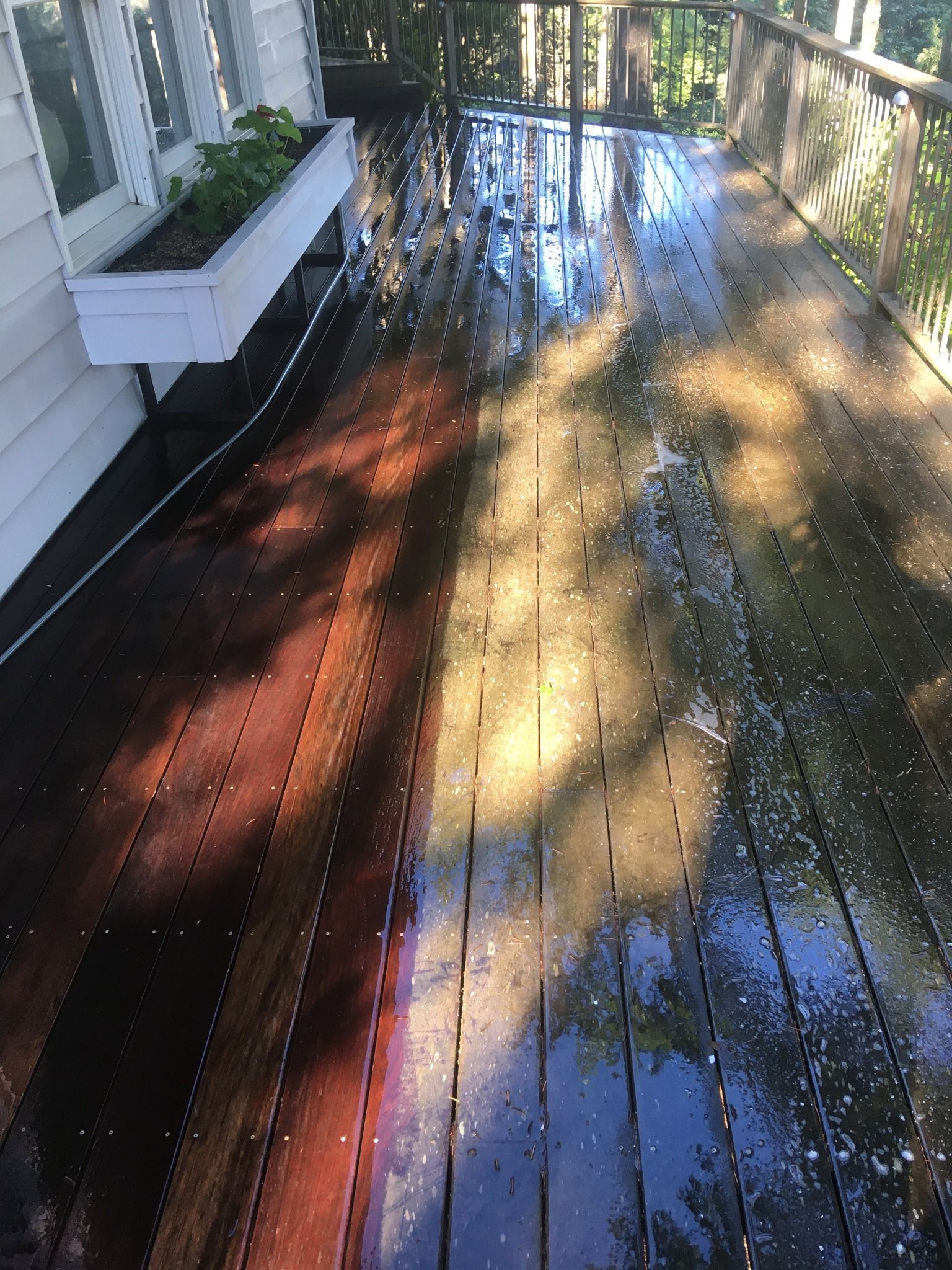Wooden deck with wet, reddish-brown boards, sunlight casting shadows. A planter box is on the side.