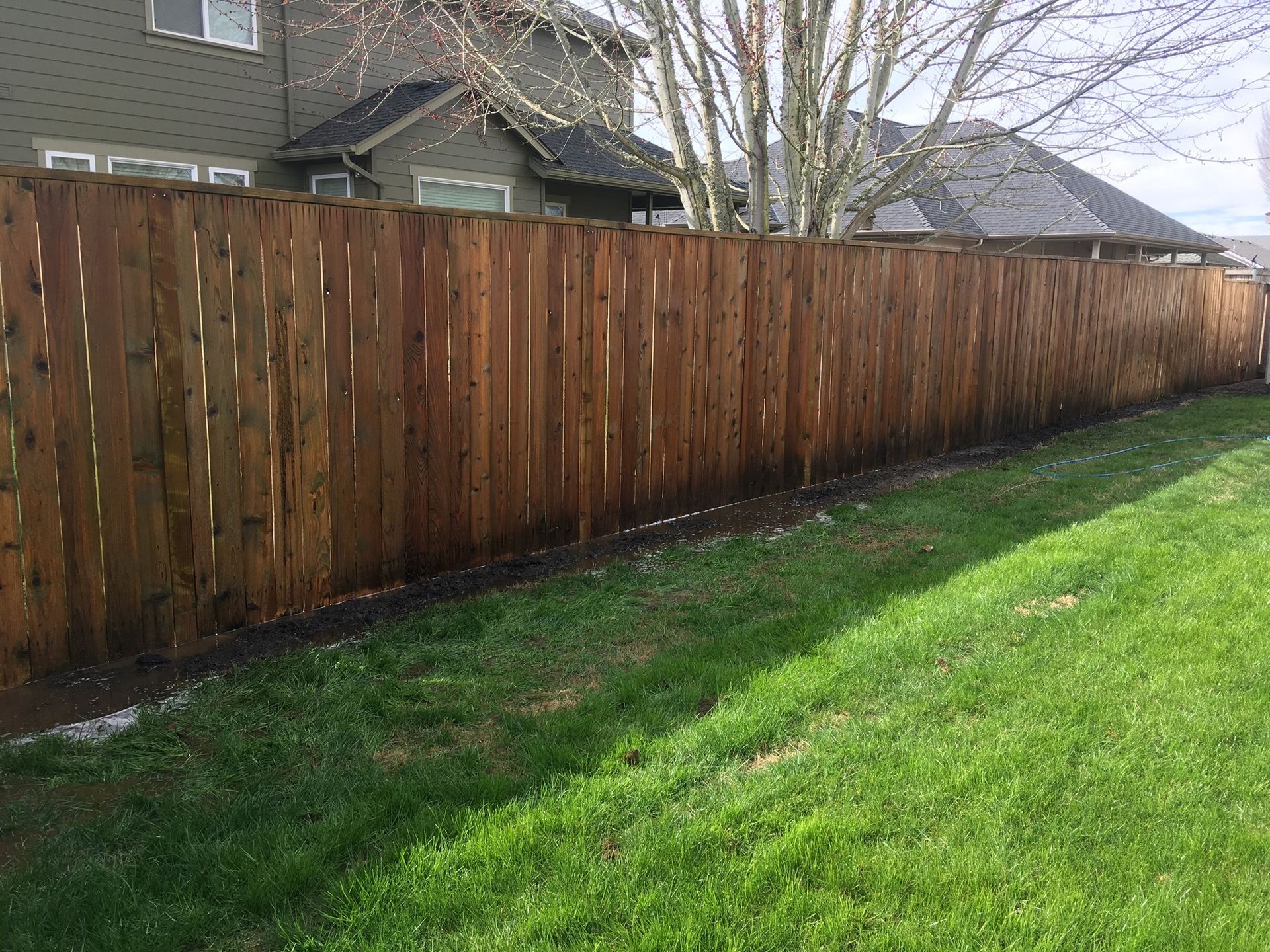 Wooden privacy fence in a grassy yard, extending along the property line.