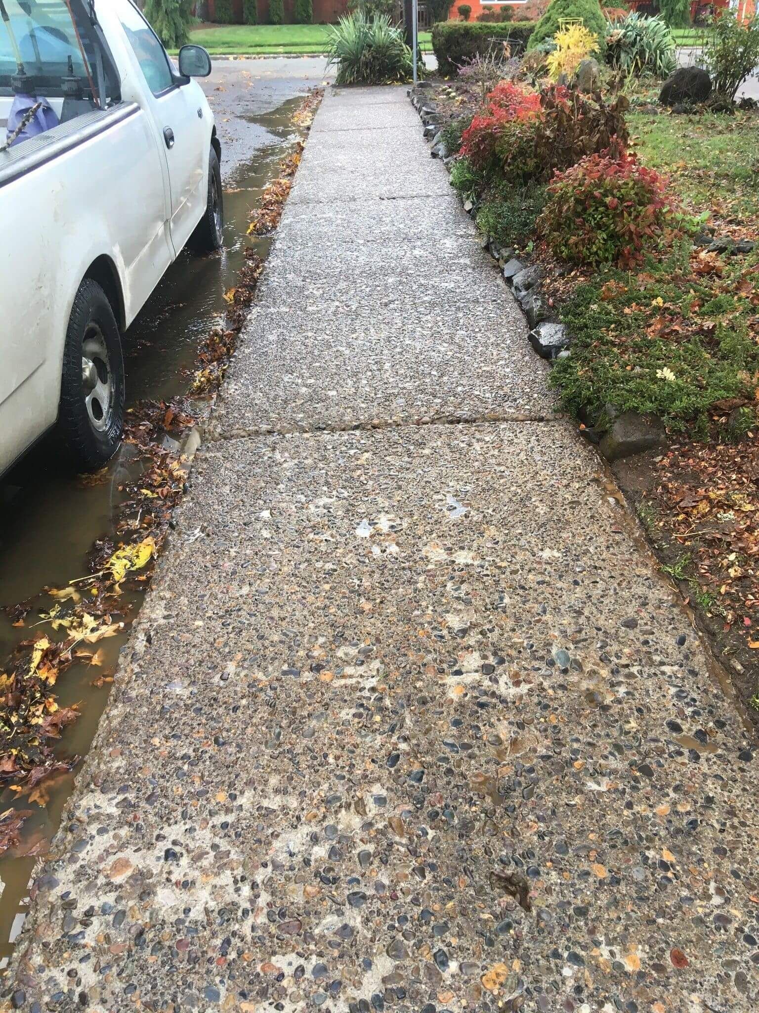 Concrete sidewalk with cracks, beside a truck and bushes with red leaves.