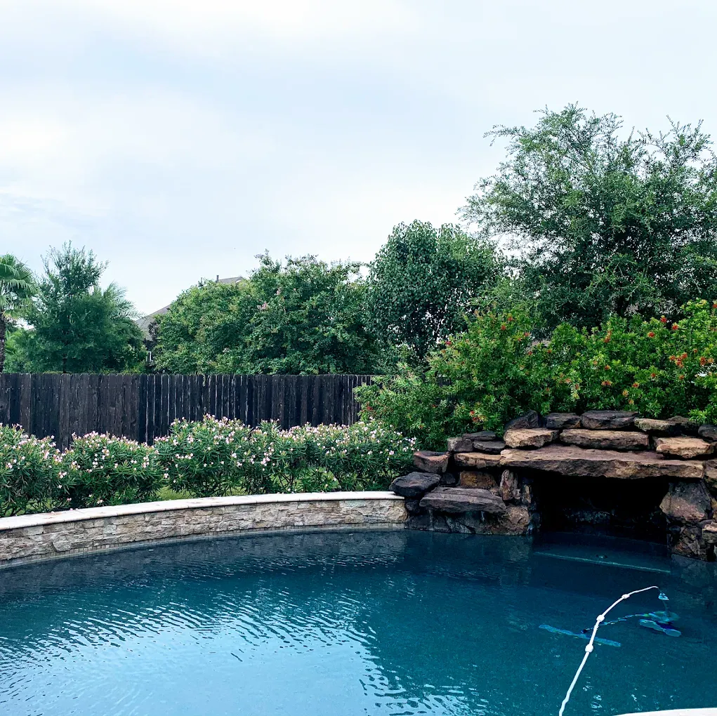 A swimming pool with waterfall feature, surrounded by lush greenery and a wooden fence.