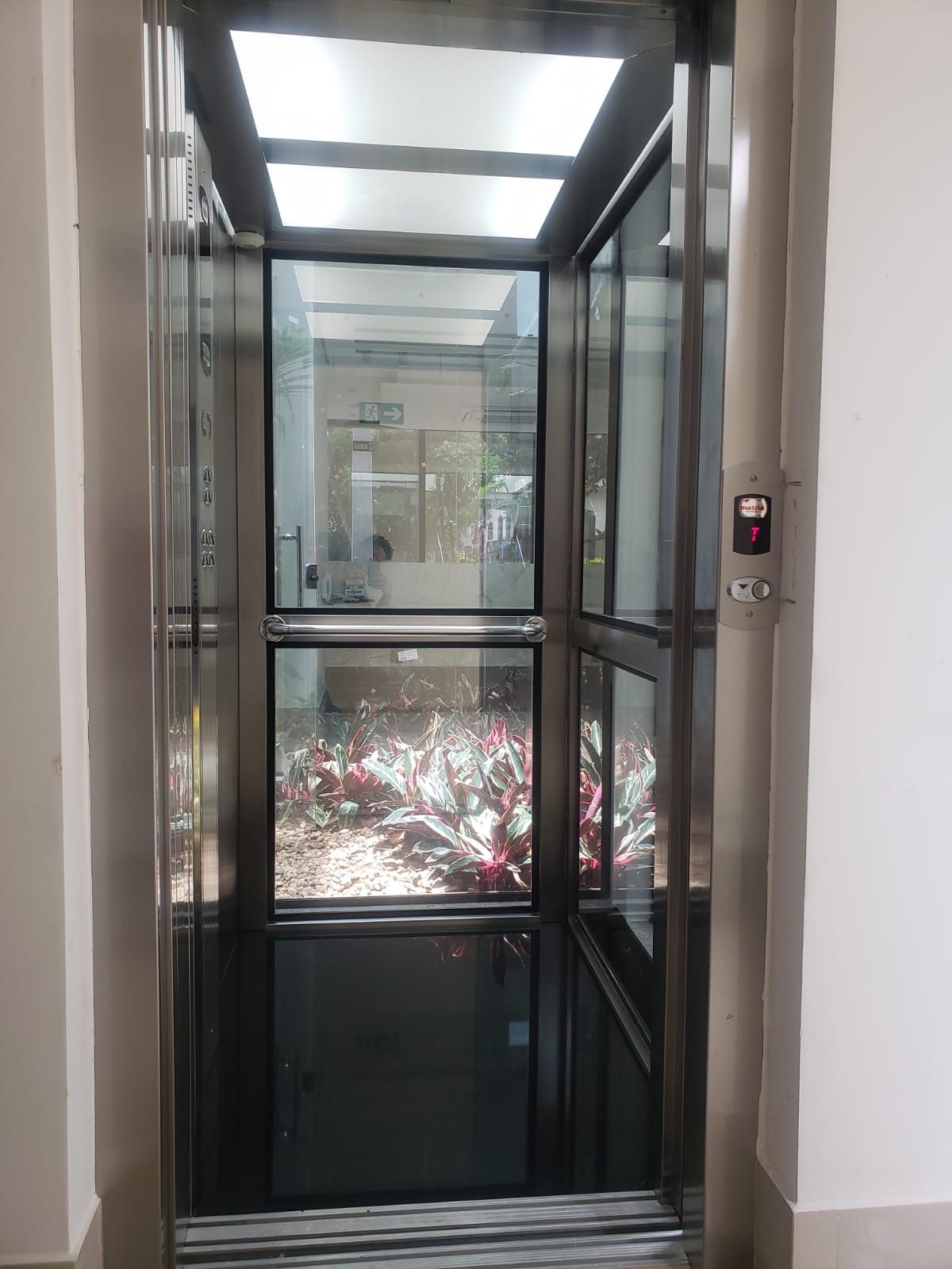 Elevador com paredes de vidro e estrutura metálica localizado dentro de um edifício, com a vista de plantas através do vidro.