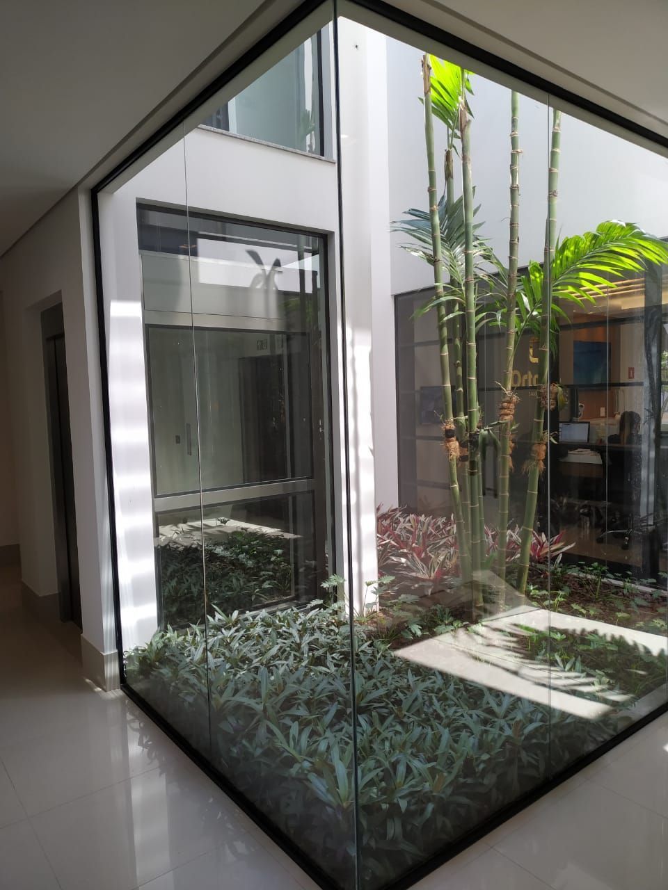 Jardim interno envidraçado com plantas tropicais ao lado de um elevador moderno em um interior luminoso.