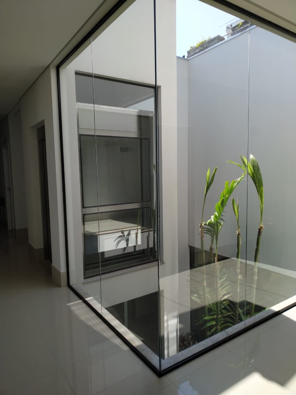 Pátio interno com paredes de vidro, plantas verdes altas e uma parede branca, visível de um corredor com piso de azulejos.