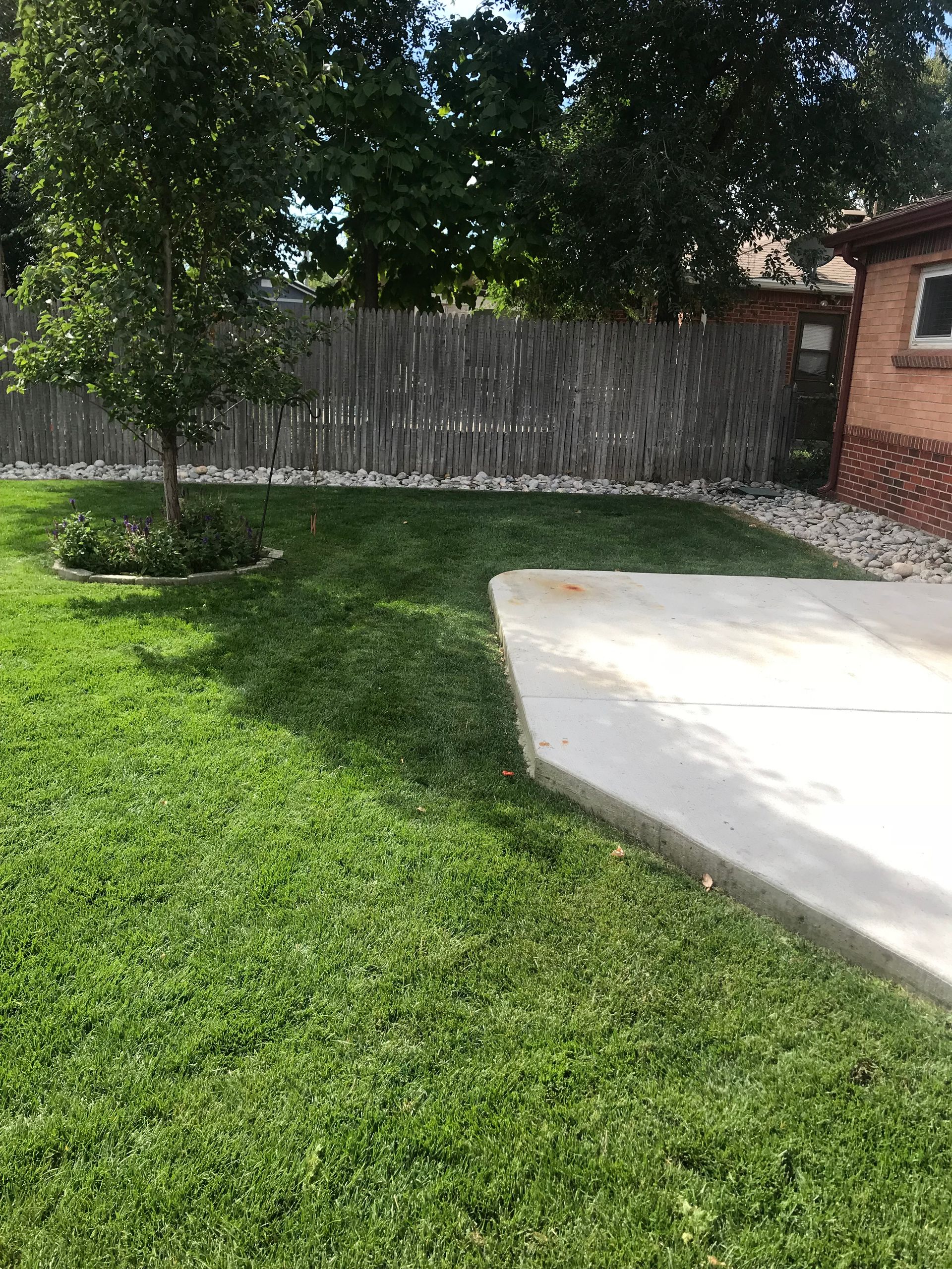 Backyard lawn with a tree, wooden fence, brick wall, and a concrete patio slab