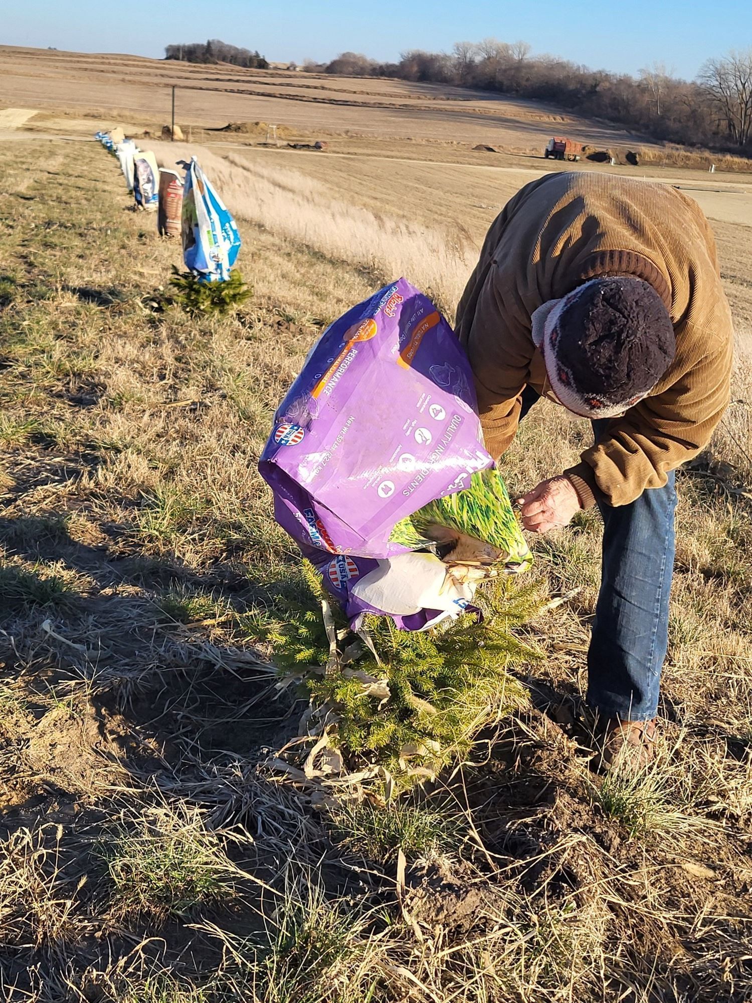 Person in a brown coat and purple backpack plants seedlings in a dry field.