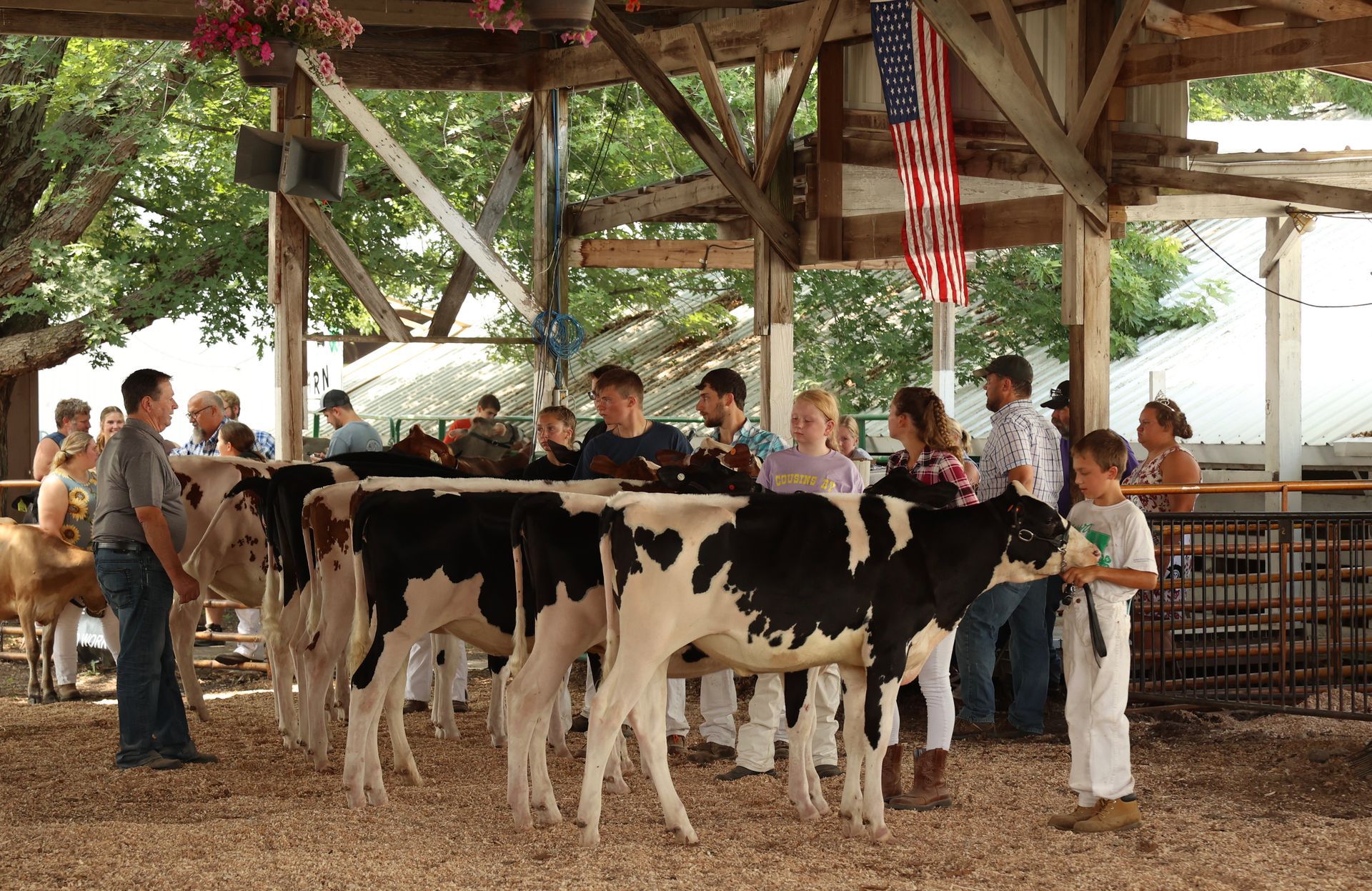 Livestock Show Arena
