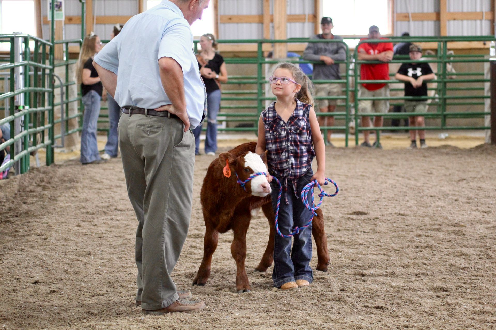 Livestock Show Arena