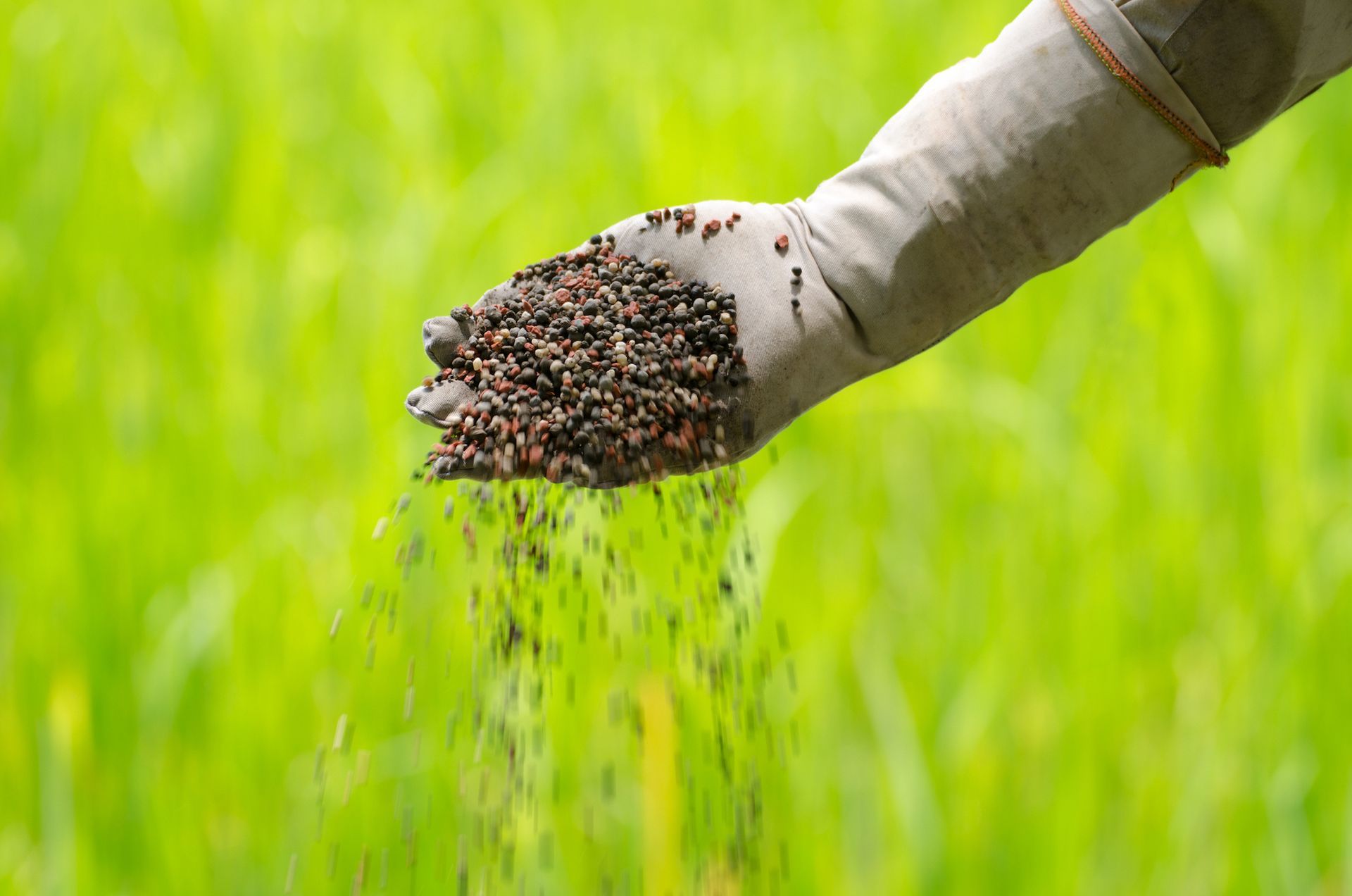 Fertilizer