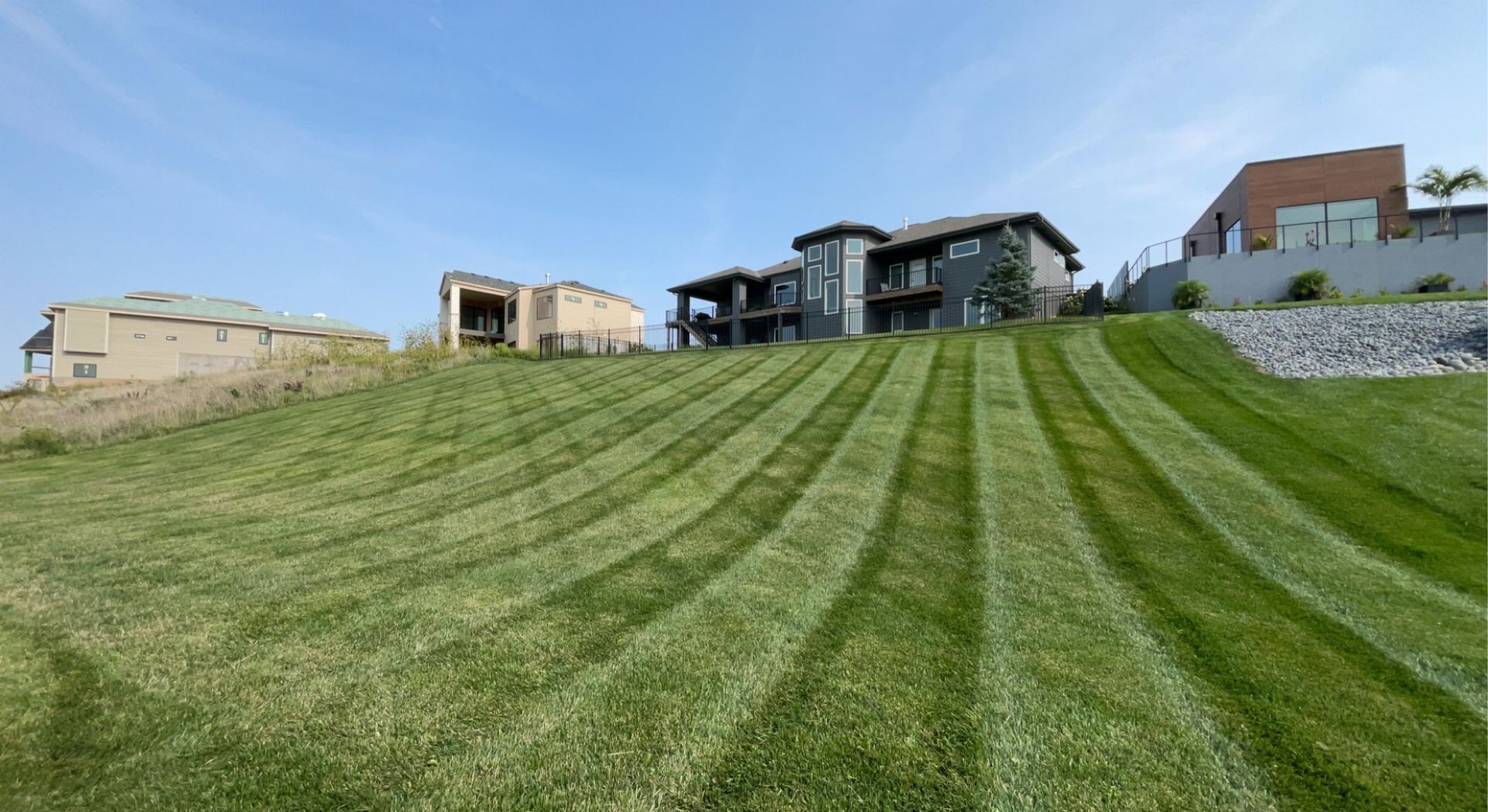 Freshly Mowed Lawn