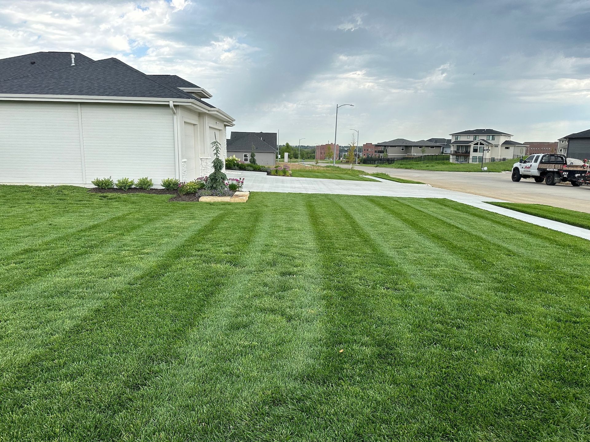 Healthy Lawn