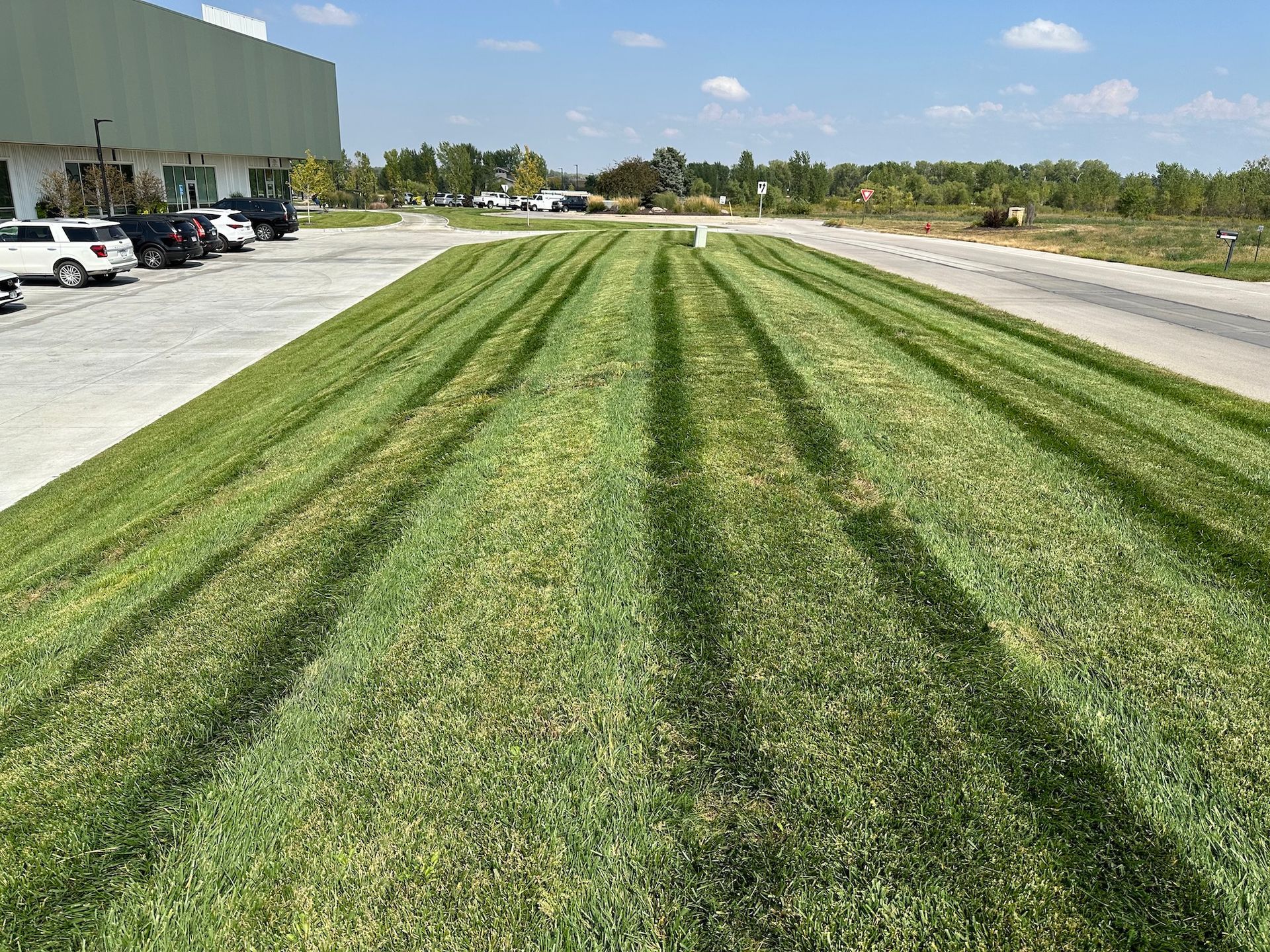 Mowed Lawn