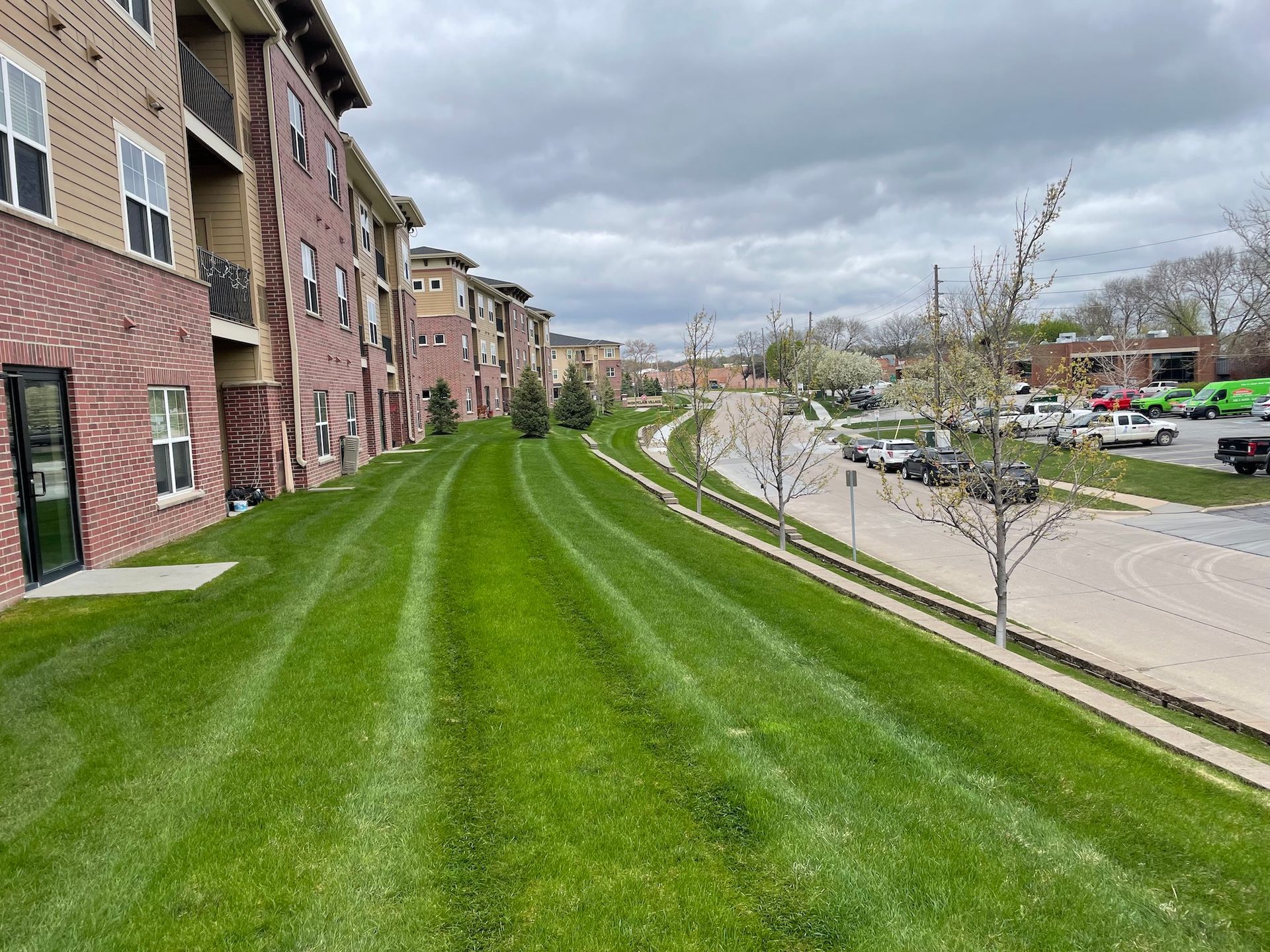 Mowed Lawn