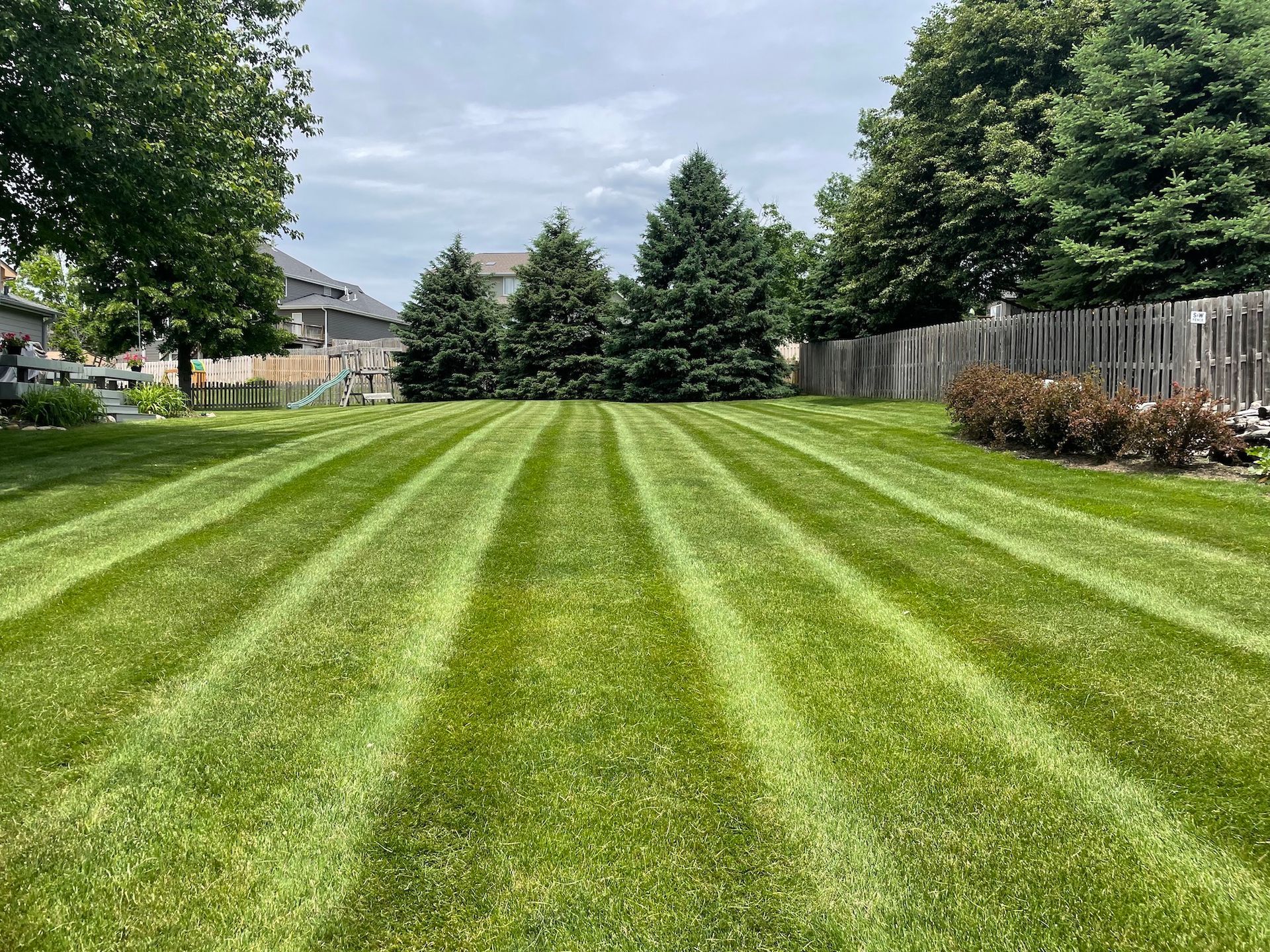 Freshly Mowed Lawn
