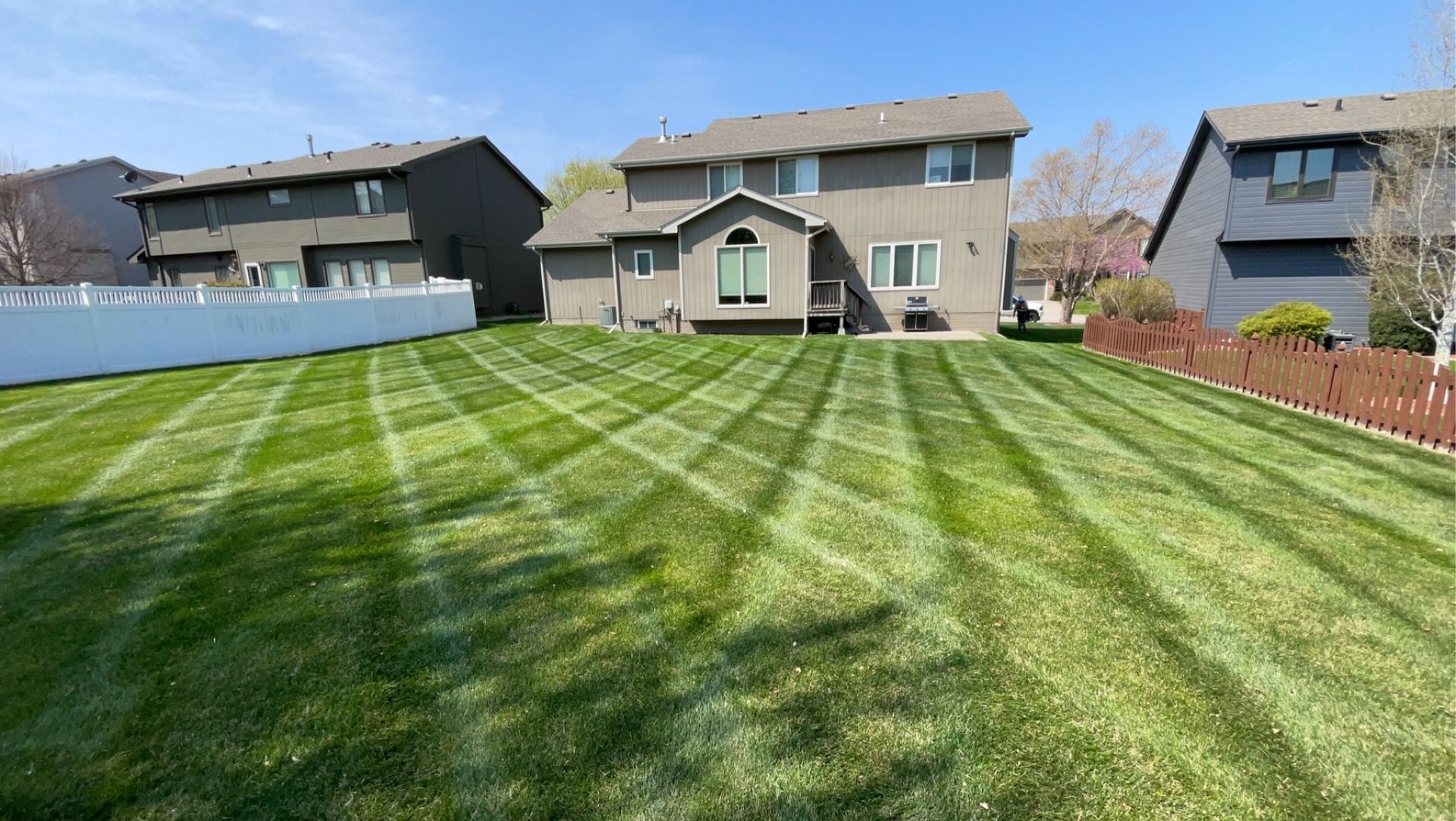 Healthy Lawn