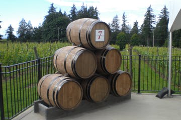 Wooden wine barrels stacked in front of a vineyard, marked with a 