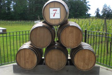 Seven wine barrels stacked in a pyramid with vineyard in the background.