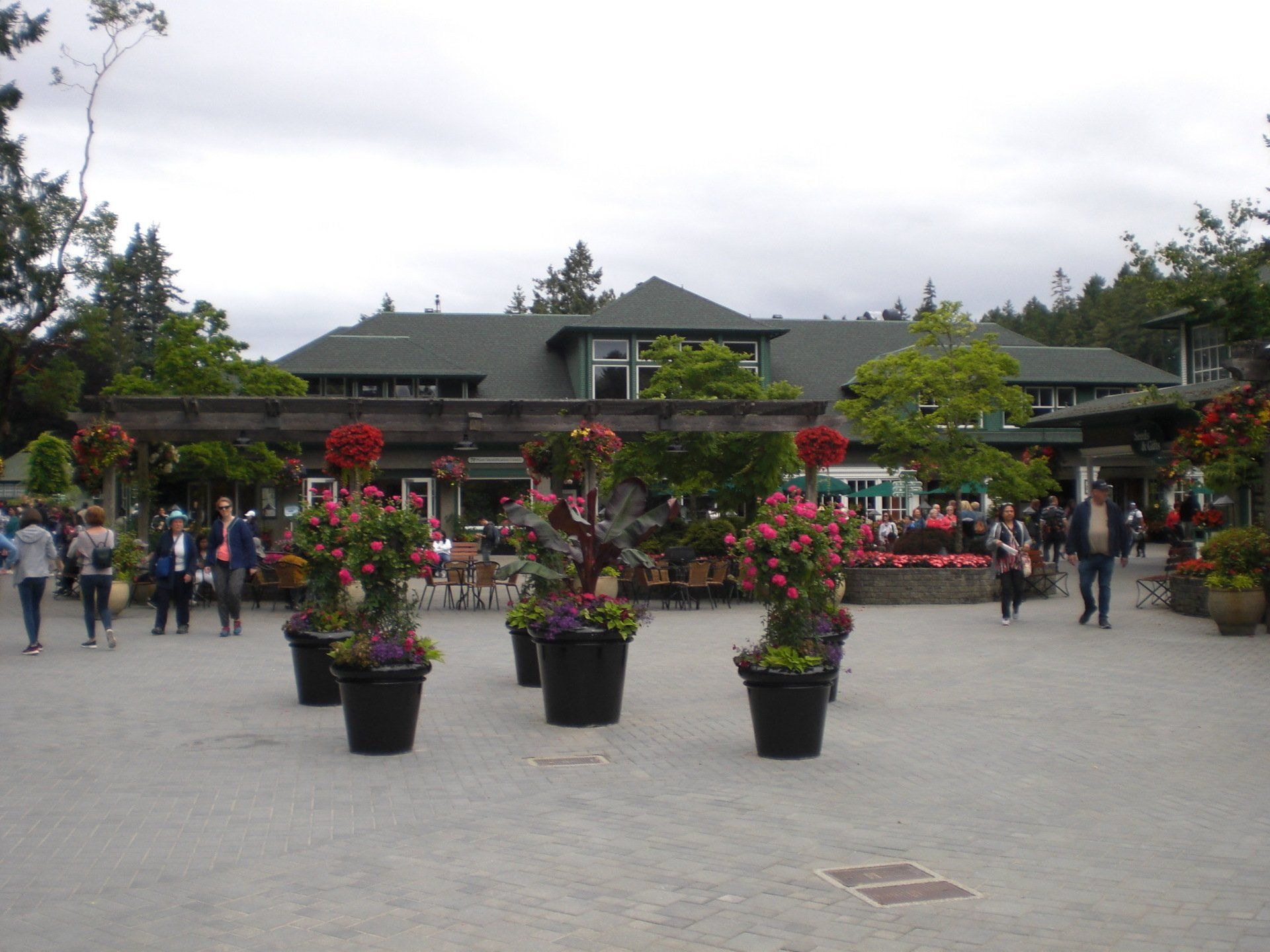 Large outdoor courtyard with potted flowers, people, and a building.