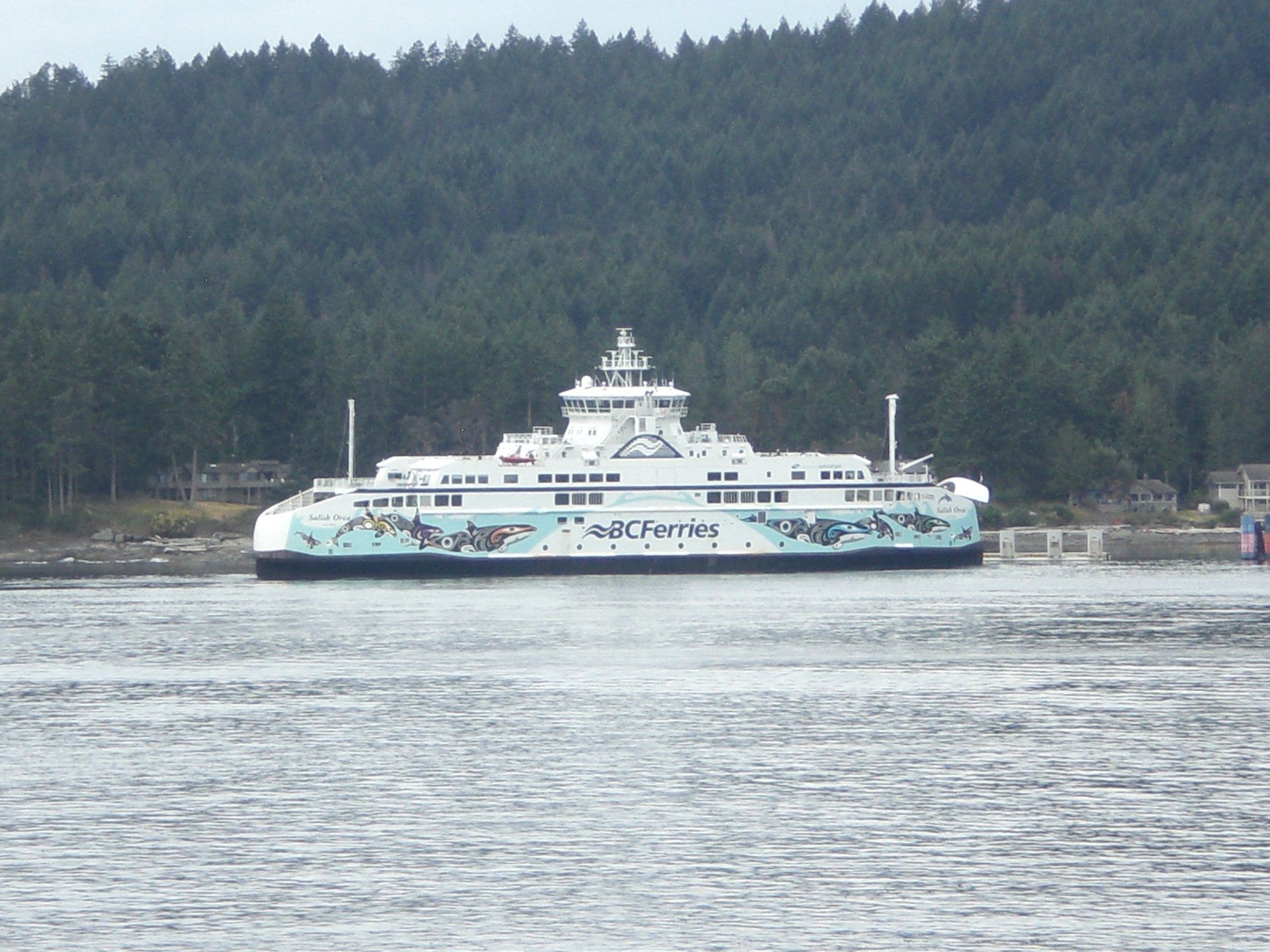Ferry boat with blue and white paint, in water with trees and buildings in the background.