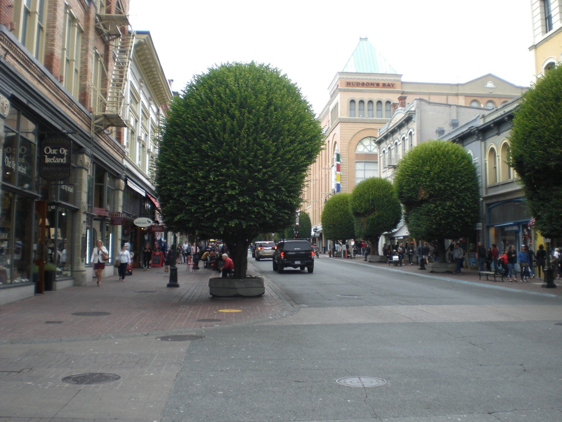 Street scene: Shops, pedestrians, trimmed trees, and a car. Buildings line the street.