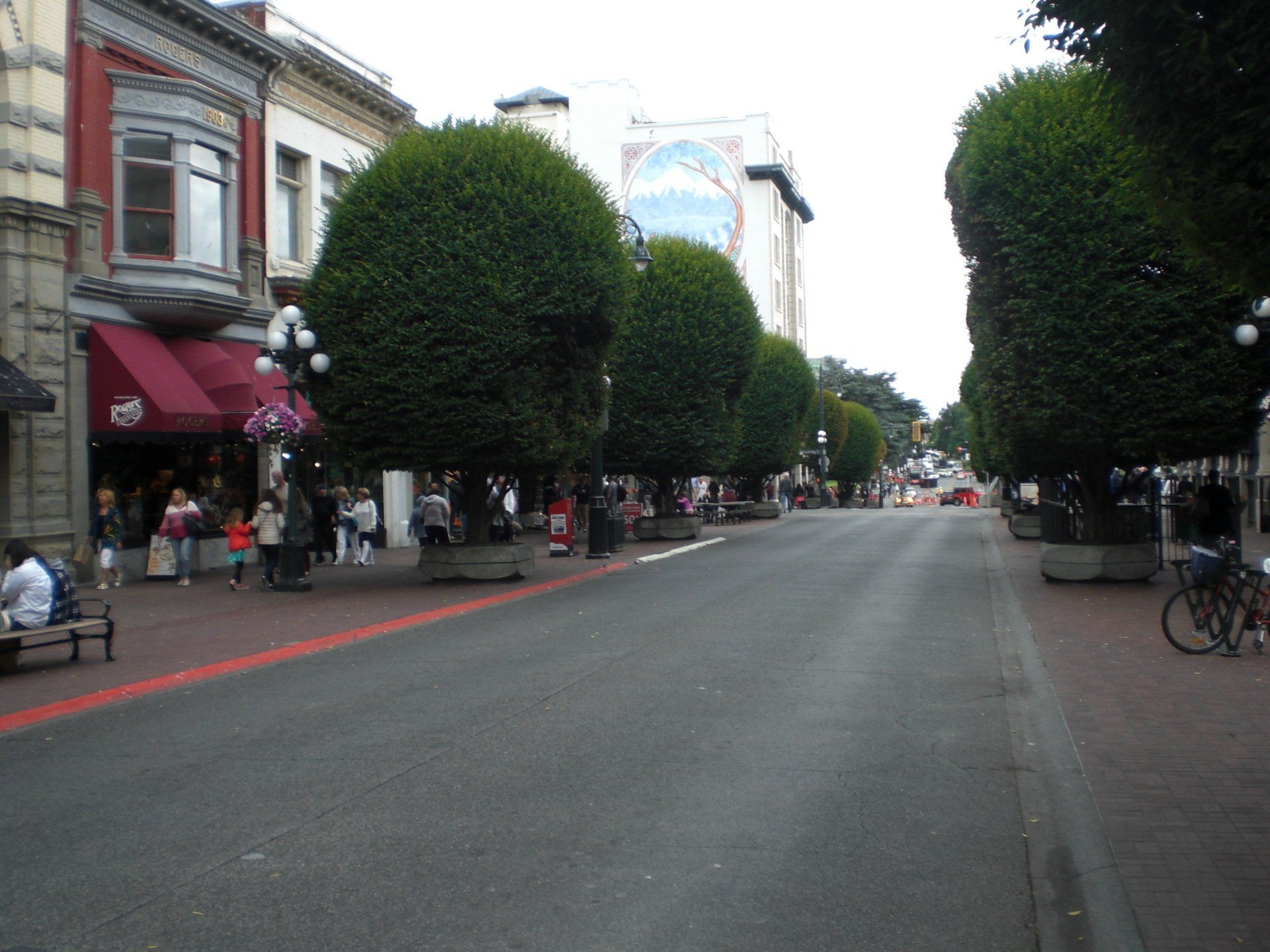Street lined with rounded trees, shops and people. Brick sidewalks with red line down the middle.