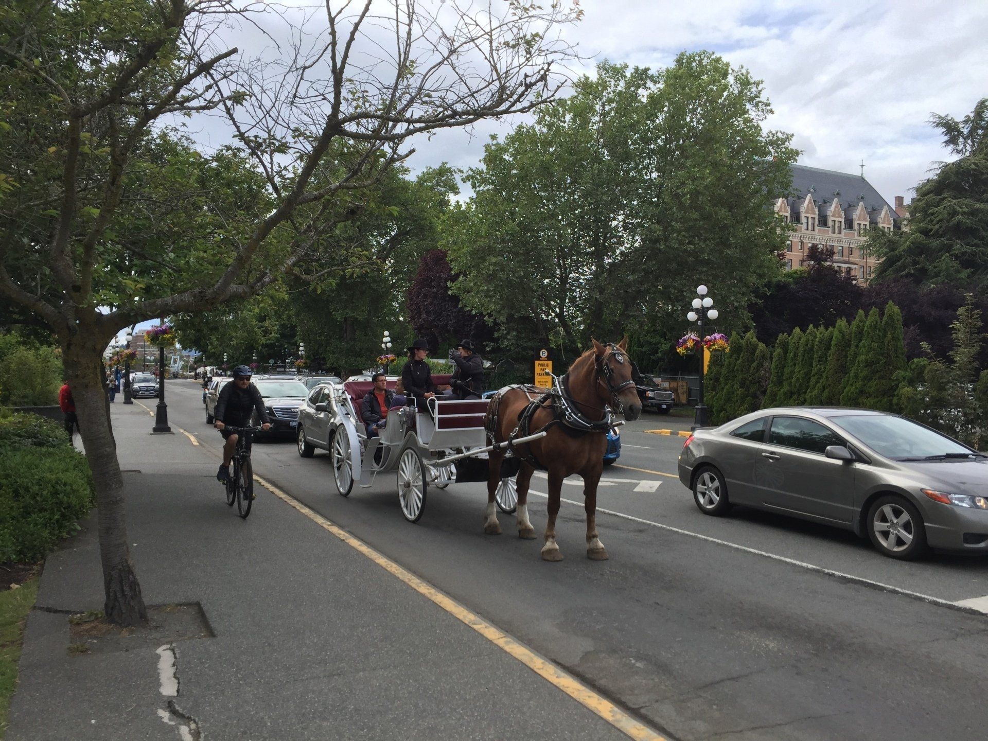 A horse-drawn carriage with passengers travels on a city street lined with trees.