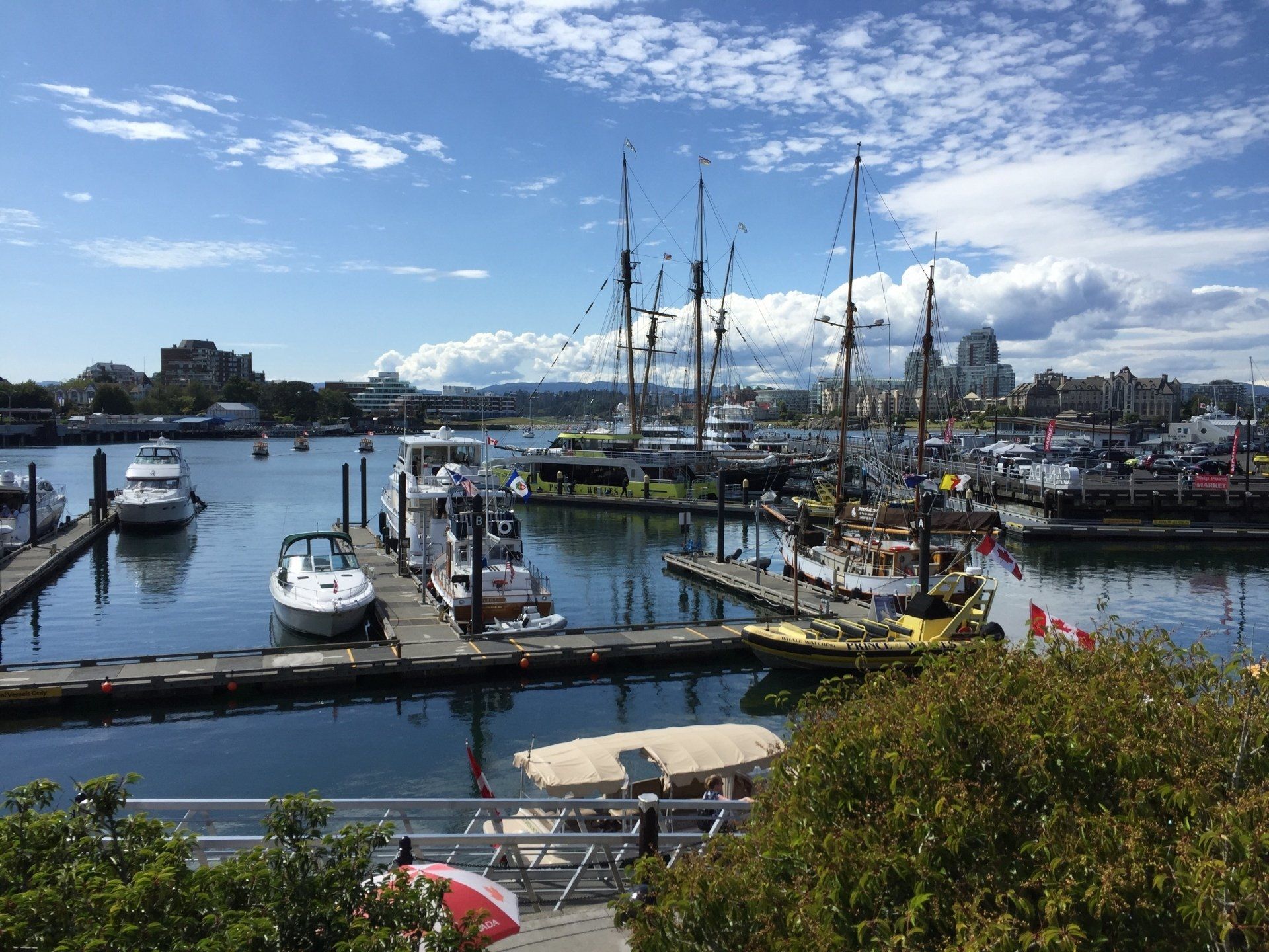 Boats docked in harbor under blue sky with white clouds, Victoria, BC.
