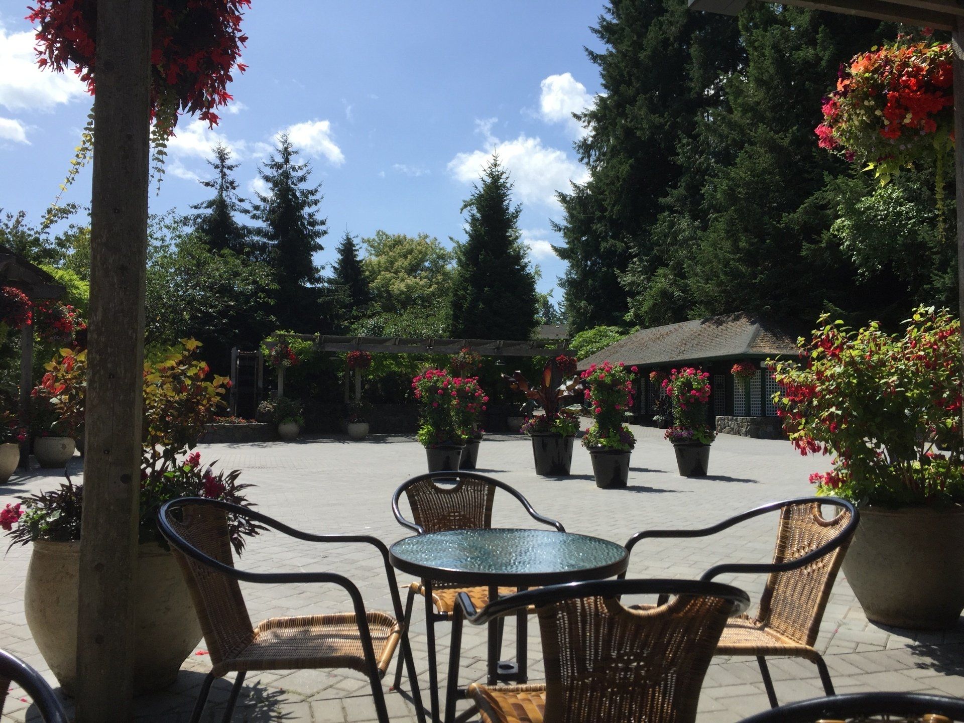 Outdoor patio with tables and chairs, surrounded by potted flowers, trees, and a sunny sky.
