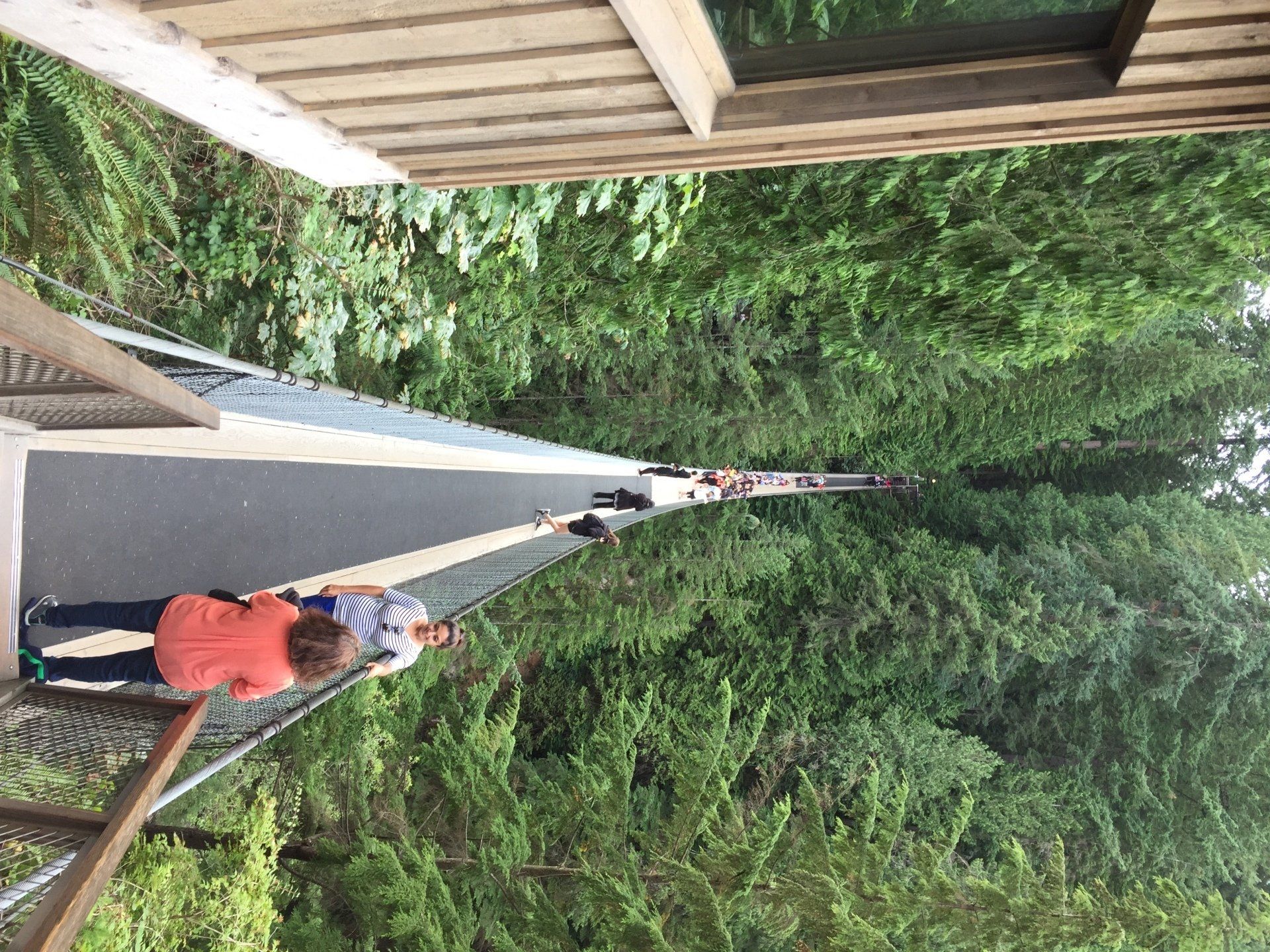 People walk across a suspension bridge surrounded by dense green trees.