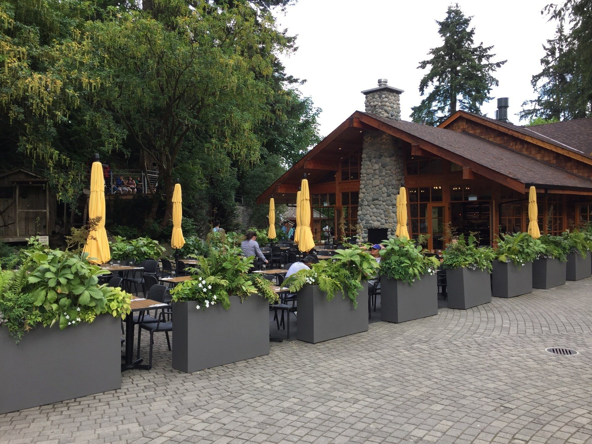 Outdoor restaurant patio with yellow umbrellas, planters, tables, and building in the background.