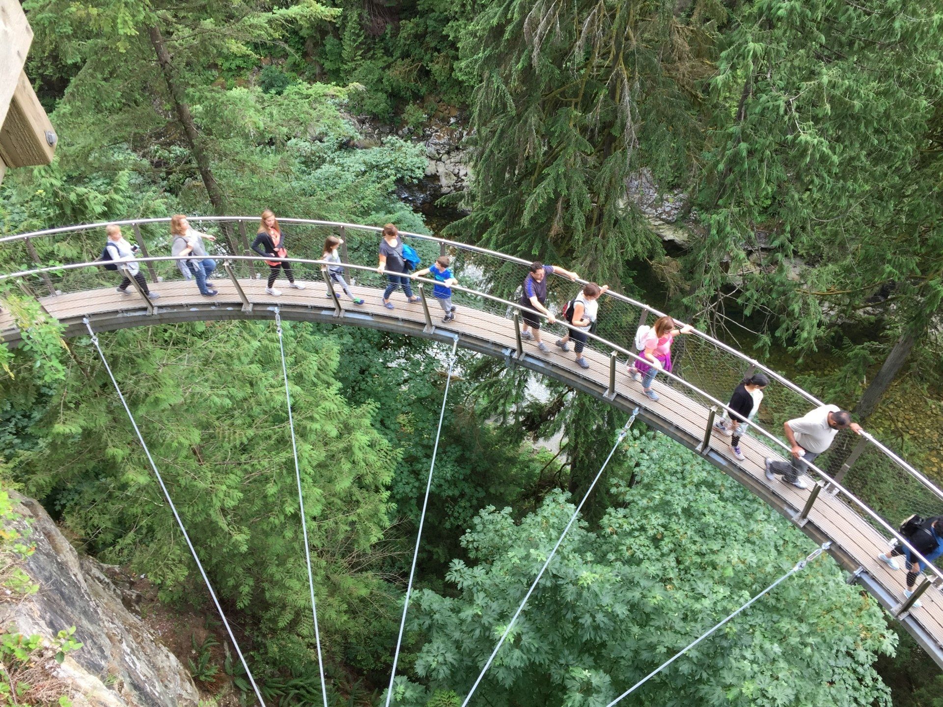 People walking on a curved wooden suspension bridge over a green forest.