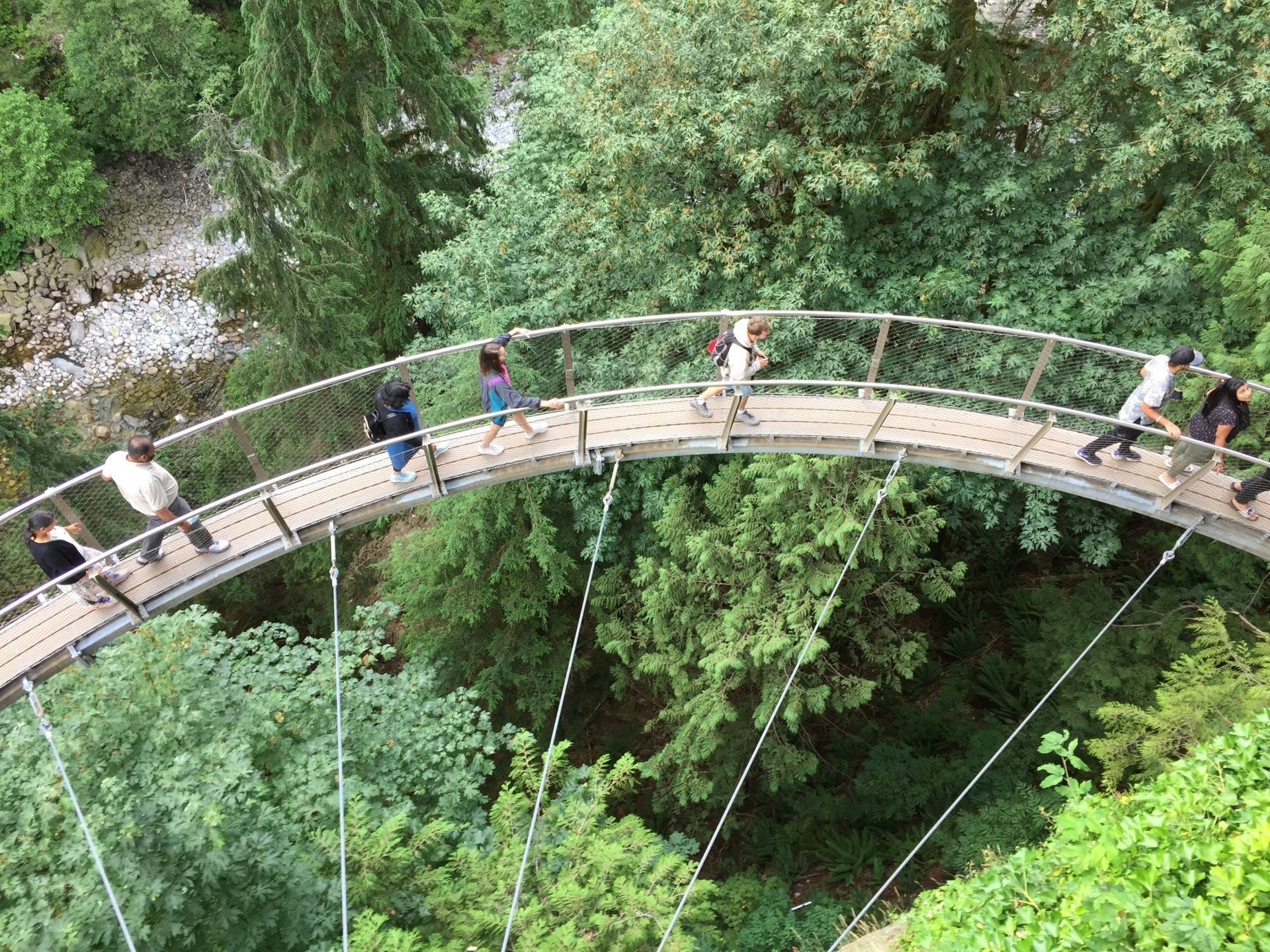 People walking on a curved suspension bridge over a green forest.
