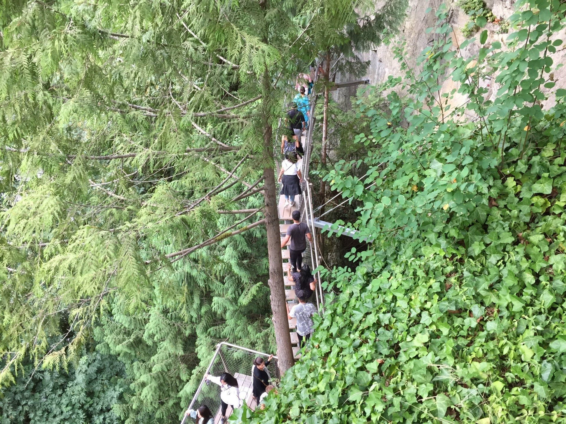 People walking on a narrow wooden bridge surrounded by lush green trees.