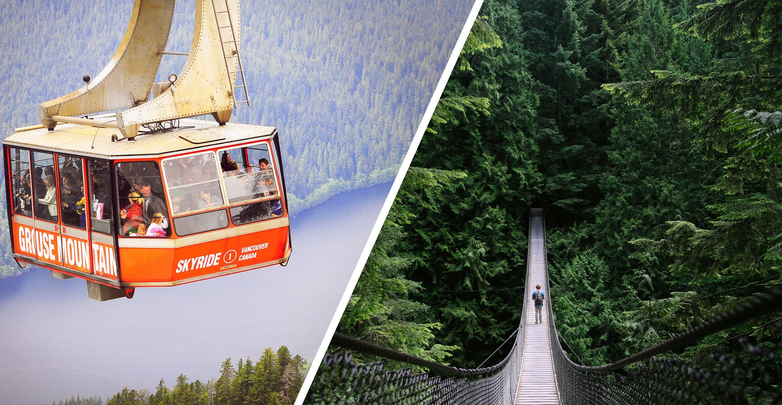 Orange gondola car suspended over a misty forest, and a person walks across a suspension bridge in a forest.