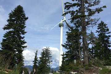 Wind turbine amongst evergreen trees on a cloudy day.