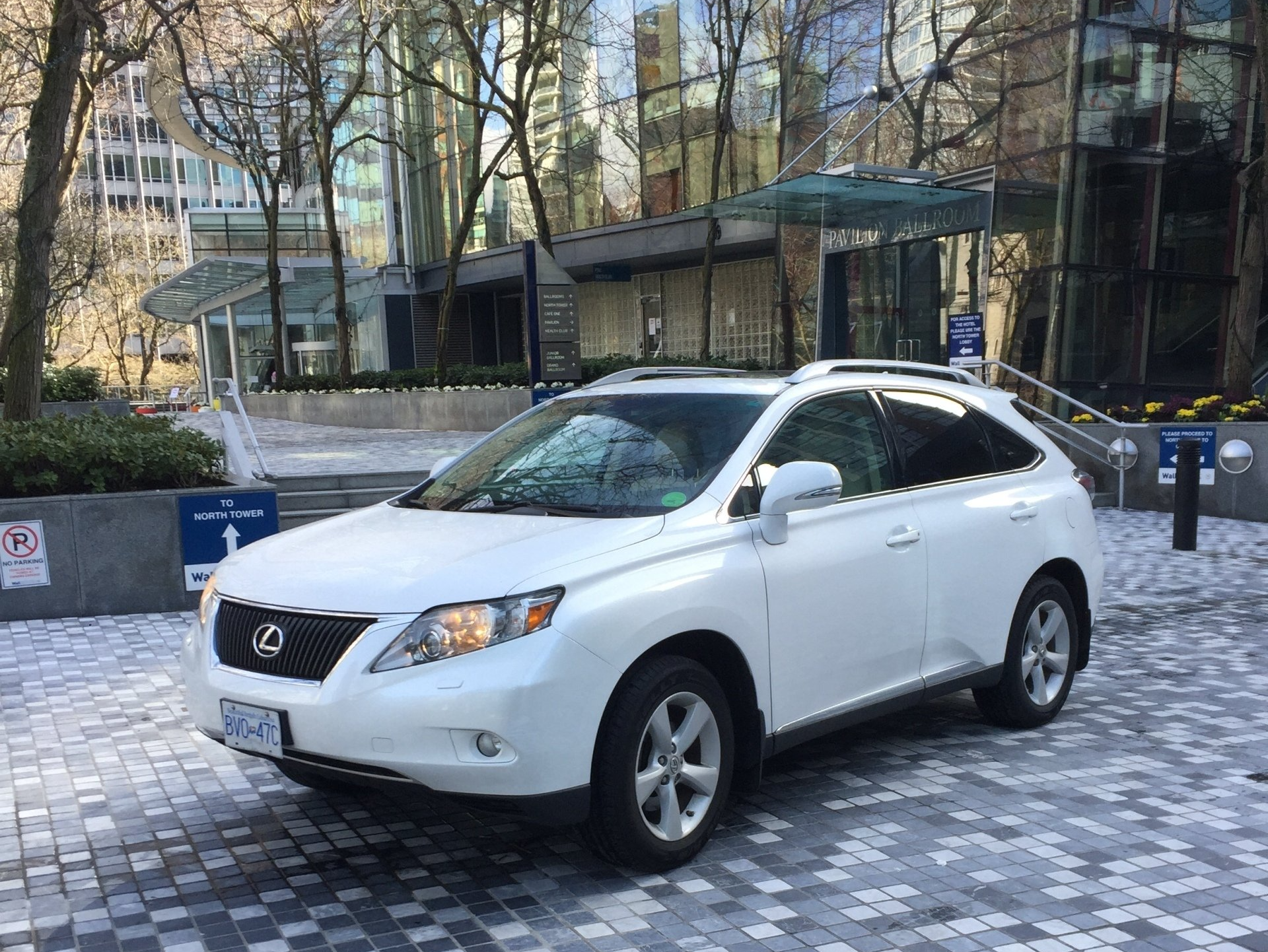 White Lexus SUV parked in front of a building with glass walls and trees. City setting.
