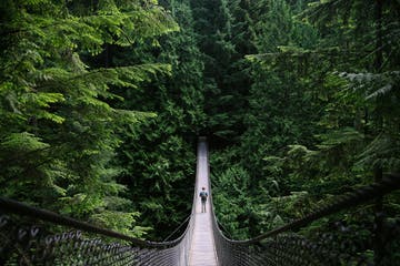 Person walking on a suspension bridge through a lush, green forest.