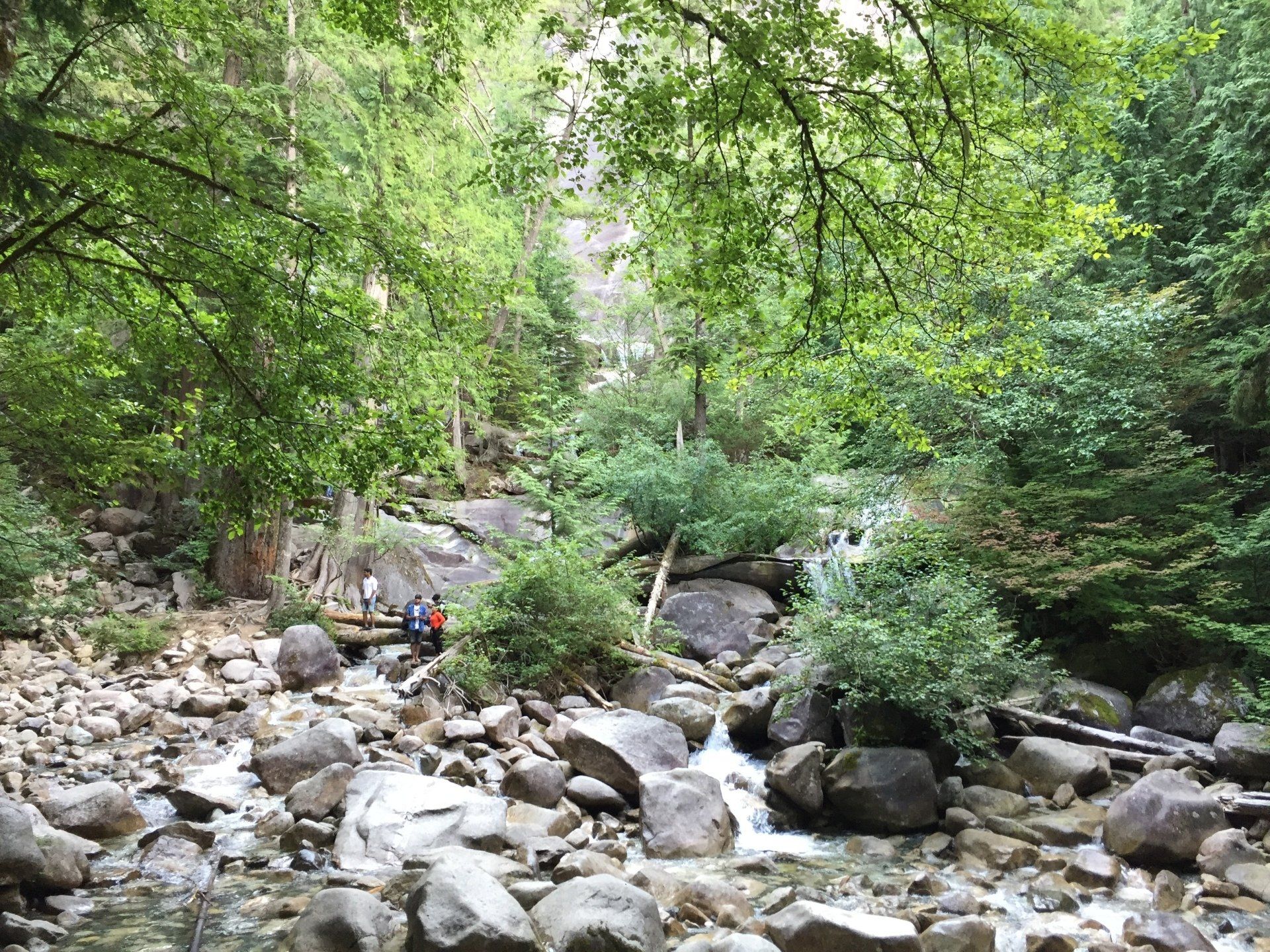 Rocky stream in a forest, with trees, boulders, and small waterfalls. Two people near the water.