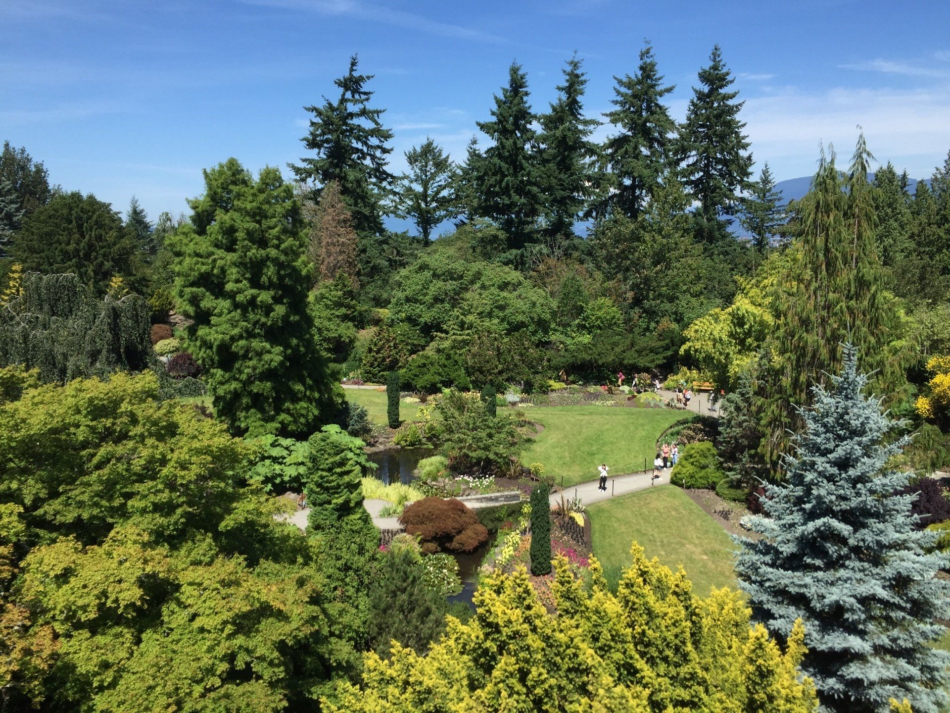 Lush garden with diverse trees and shrubs under a blue sky. People stroll a pathway through the greenery.