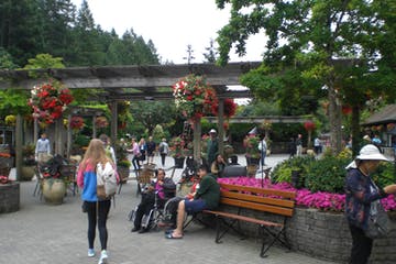 People stroll through a flower-filled garden with benches and pergolas. A person in a wheelchair sits.