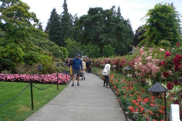 Pathway through a colorful garden with people walking. Green lawns, flower beds, and trees line the path.