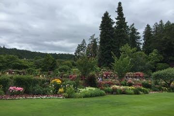 Lush garden with green grass, colorful flowers, and trees under a cloudy sky.
